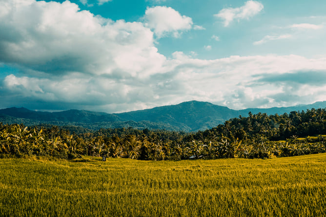 open field with mountains in the background