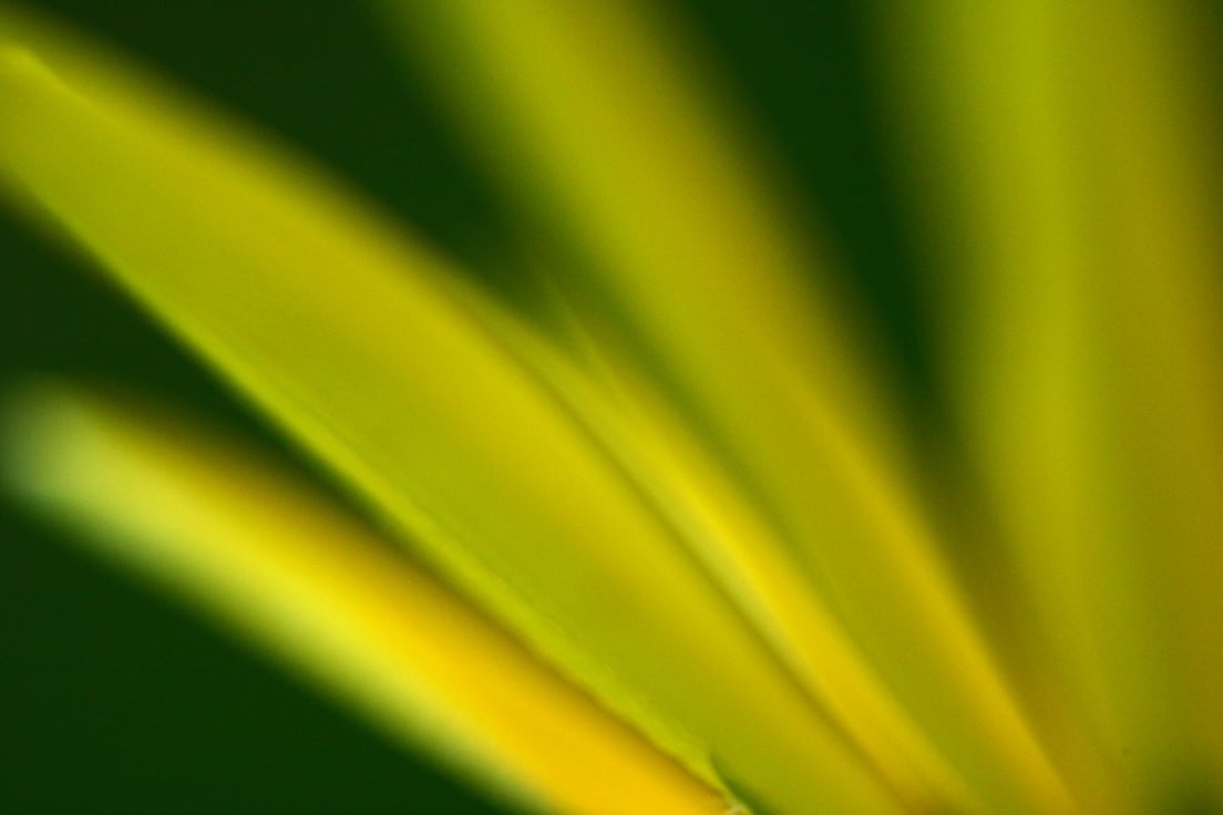 What is the Difference Between a Qualified Purchaser + an Accredited Investor?