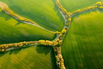 Not So Private Anymore: Why Venture Capital is Embracing the Private Secondary Market