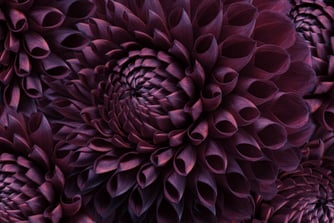 Unlocking the Private Markets: Why Data is the New Currency of Investing