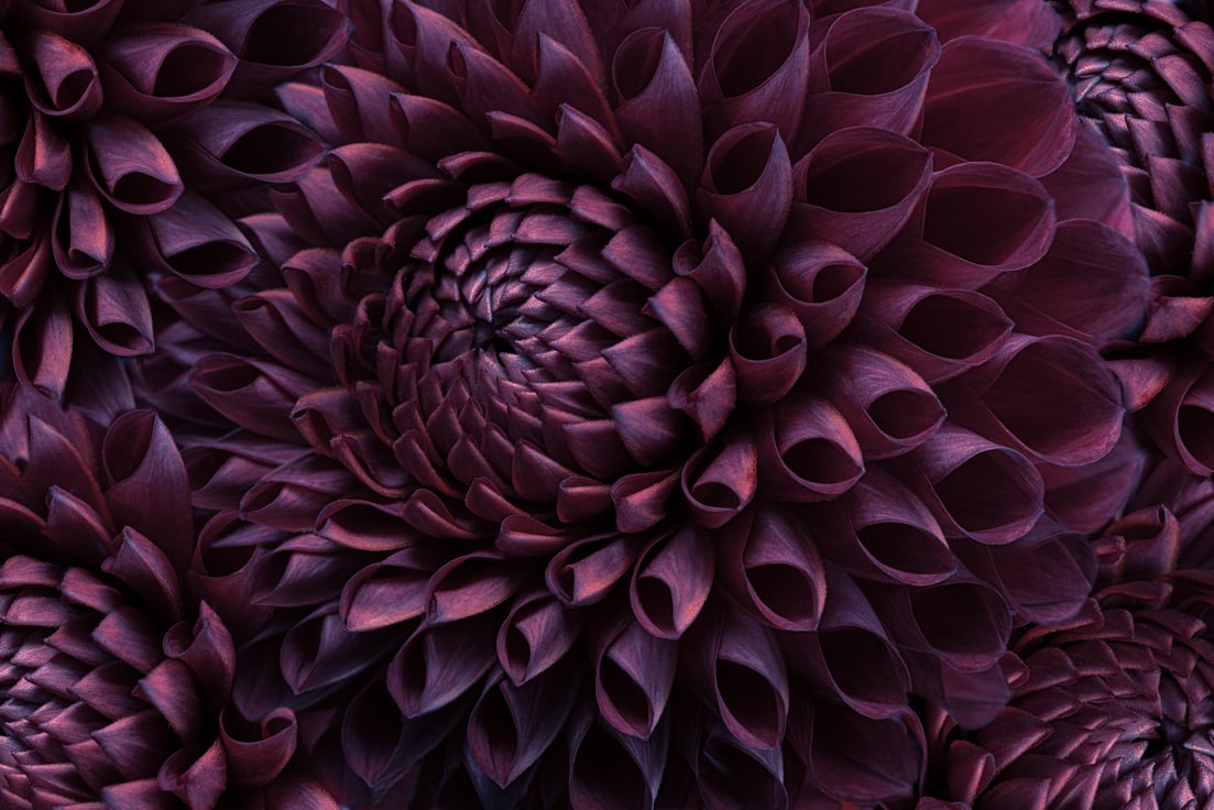 Unlocking the Private Markets: Why Data is the New Currency of Investing