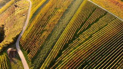 Effective Strategies for Selling Your Shares: Understanding Public vs. Private Market Secondaries