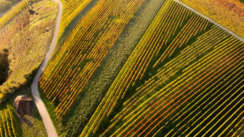 Effective Strategies for Selling Your Shares: Understanding Public vs. Private Market Secondaries