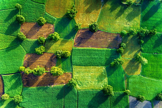 Innovating Industries: AgTech