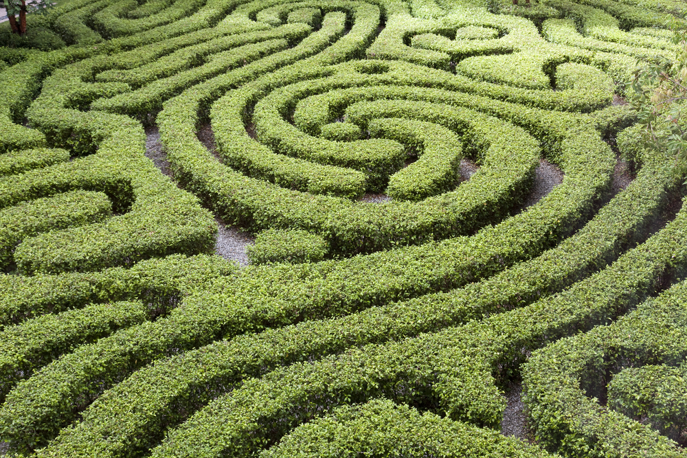 Green maze for EquityZen's blog on startup questions